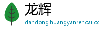 龙辉
